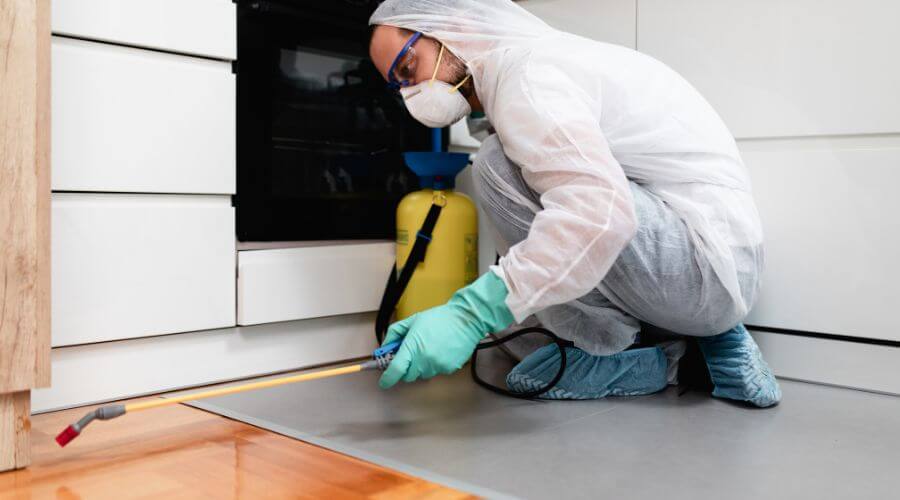 Why choose Office Building Treatments Angleton for office building treatments in Angleton